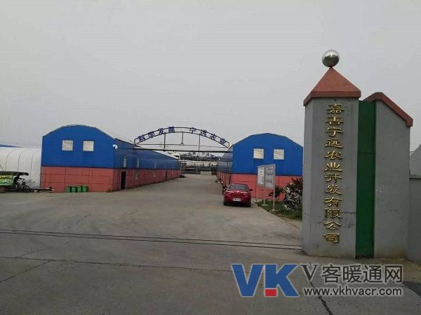01.jpg