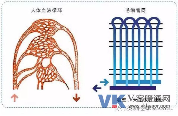 微信图片_20180702102939.jpg