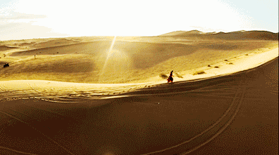 11.gif