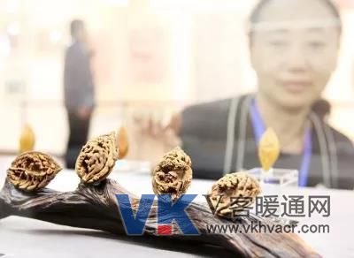 微信图片_20180830092602.jpg