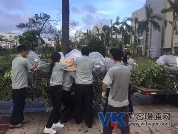 微信图片_20180917110544.jpg