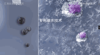 微信图片_20190104125202.gif