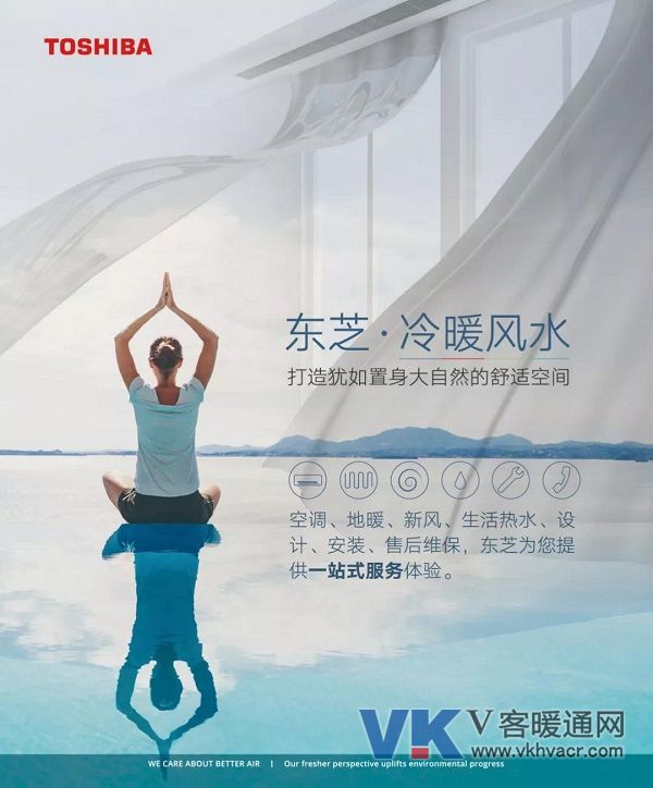 1550196609137292.jpg 东芝2.jpg