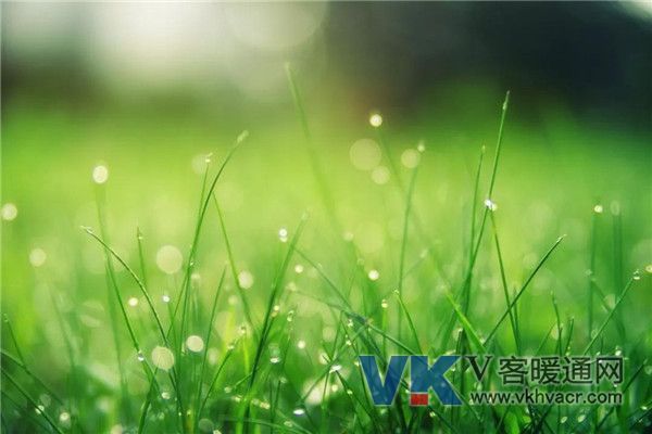 微信图片_20190307091207.jpg