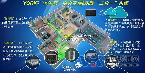 约克1.jpg