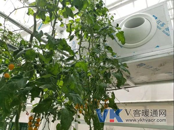 微信图片_20190722103118.jpg