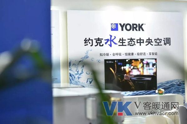 1573521202906378.jpg 约克.jpg